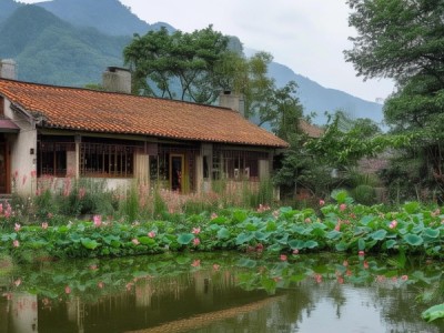 瑞丽边境风情，家庭旅馆推荐，邂逅边城魅力——探寻瑞丽家庭旅馆哪里有的秘境